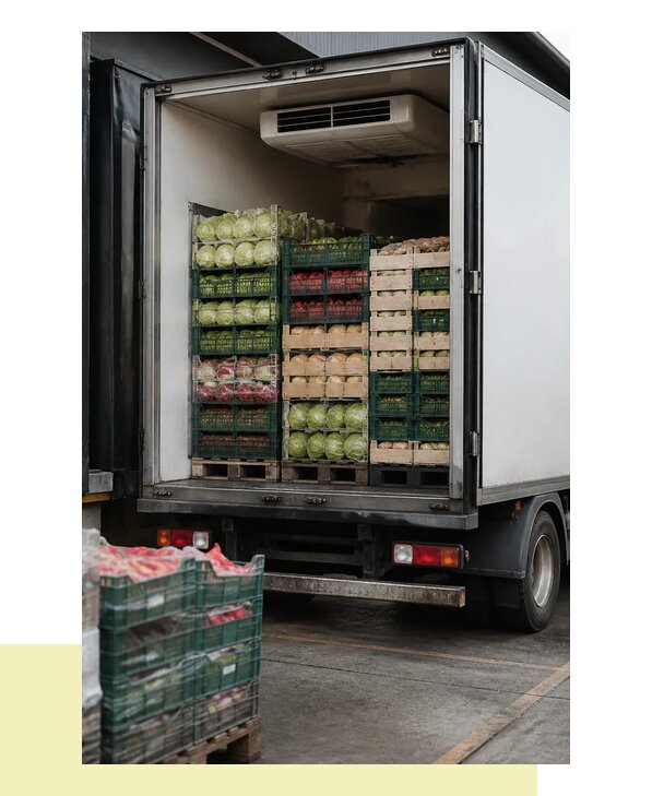 Перевозка плодоовощной продукции оптом напрямую в Геленджик