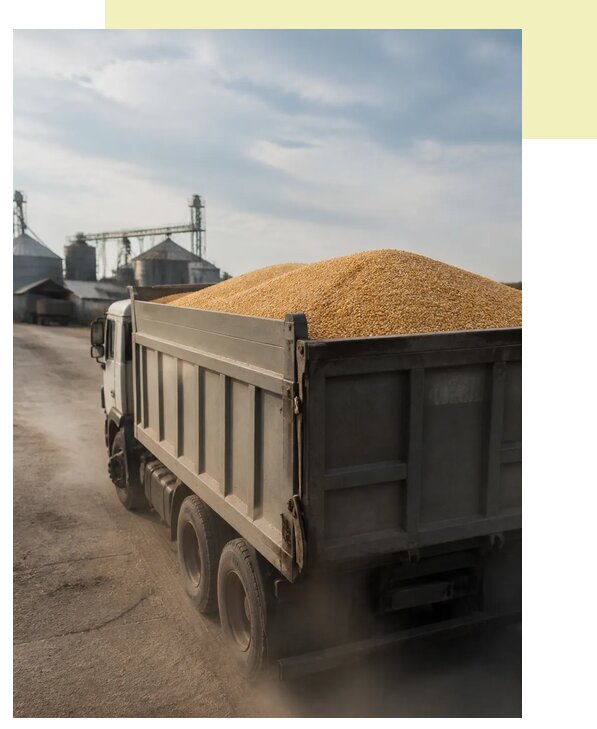 Перевозка сельхозпродукции навалом в Геленджик по цене от 3118 р. | Агросервис-Глн