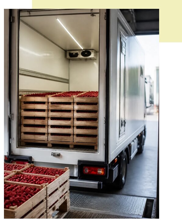 Доставка и перевозка малины в Геленджик по цене от 5197 р. | Агросервис-Глн